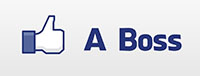 Social Media Marketing Blogs Like A Boss
